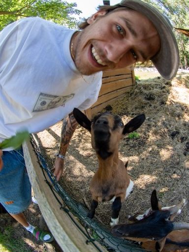 Рубашка RICH Dollar Goat