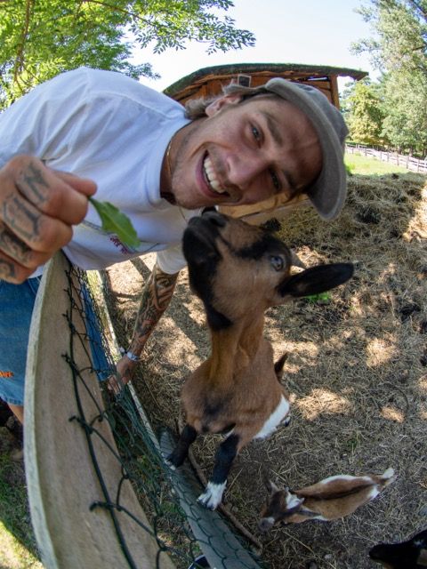 Рубашка RICH Dollar Goat