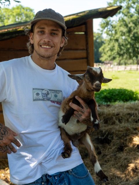 Рубашка RICH Dollar Goat